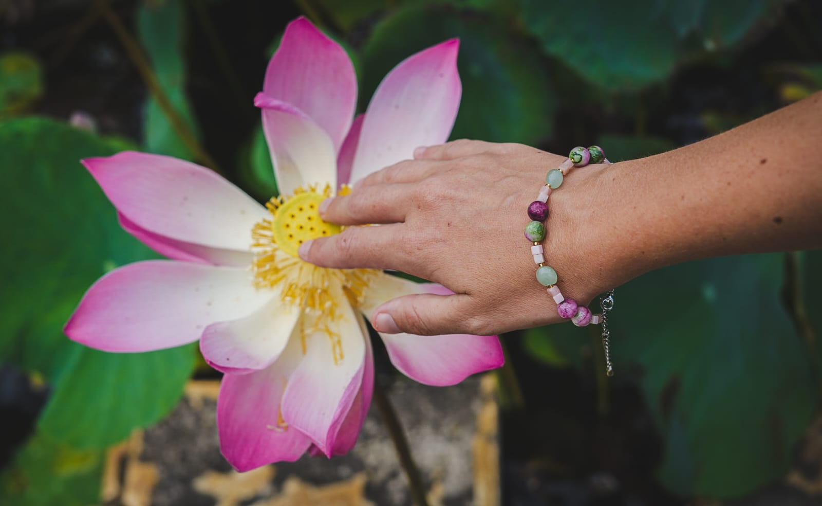 Bracelet “Lotus Sacré” – Équilibre & Douceur